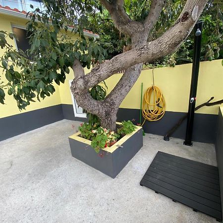 Quintinha Dos Reis Villa Фуншал Екстериор снимка
