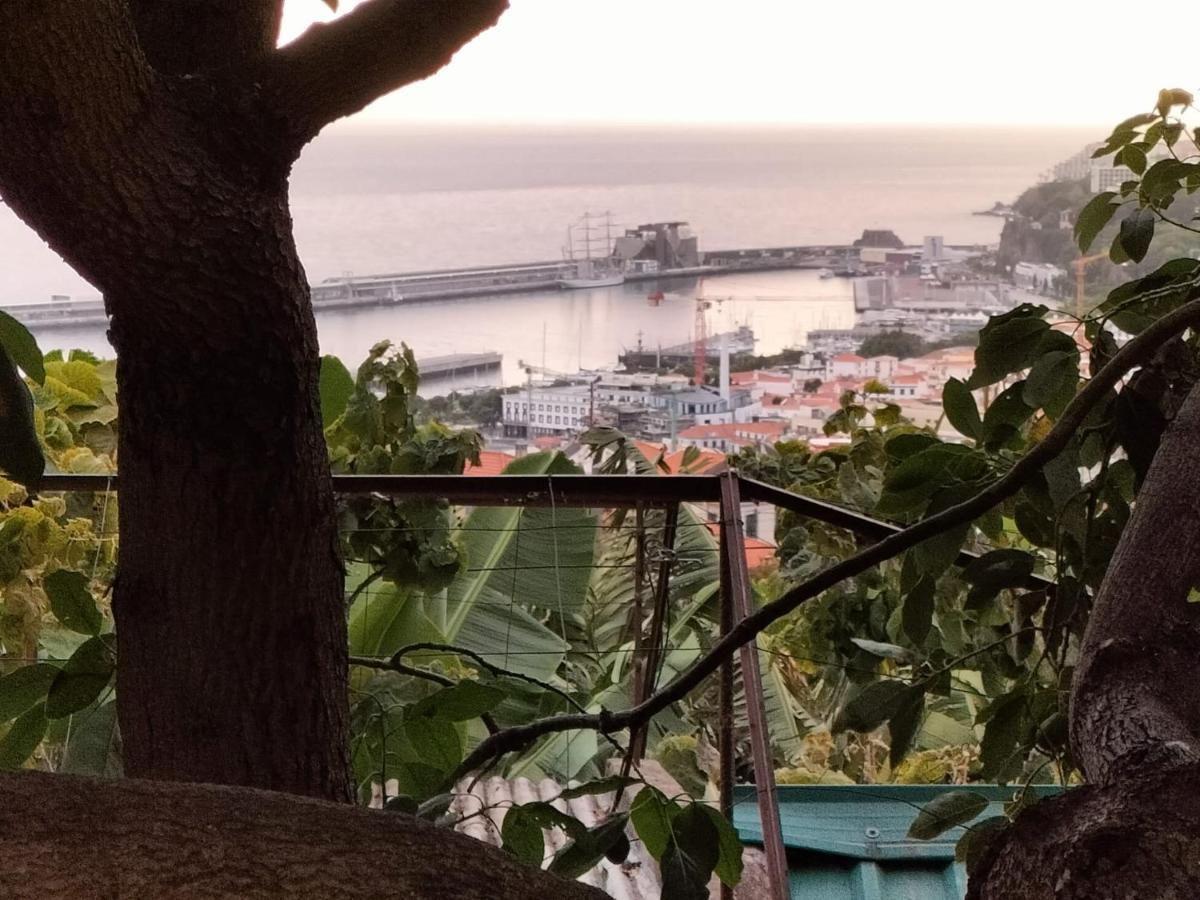 Quintinha Dos Reis Villa Фуншал Екстериор снимка