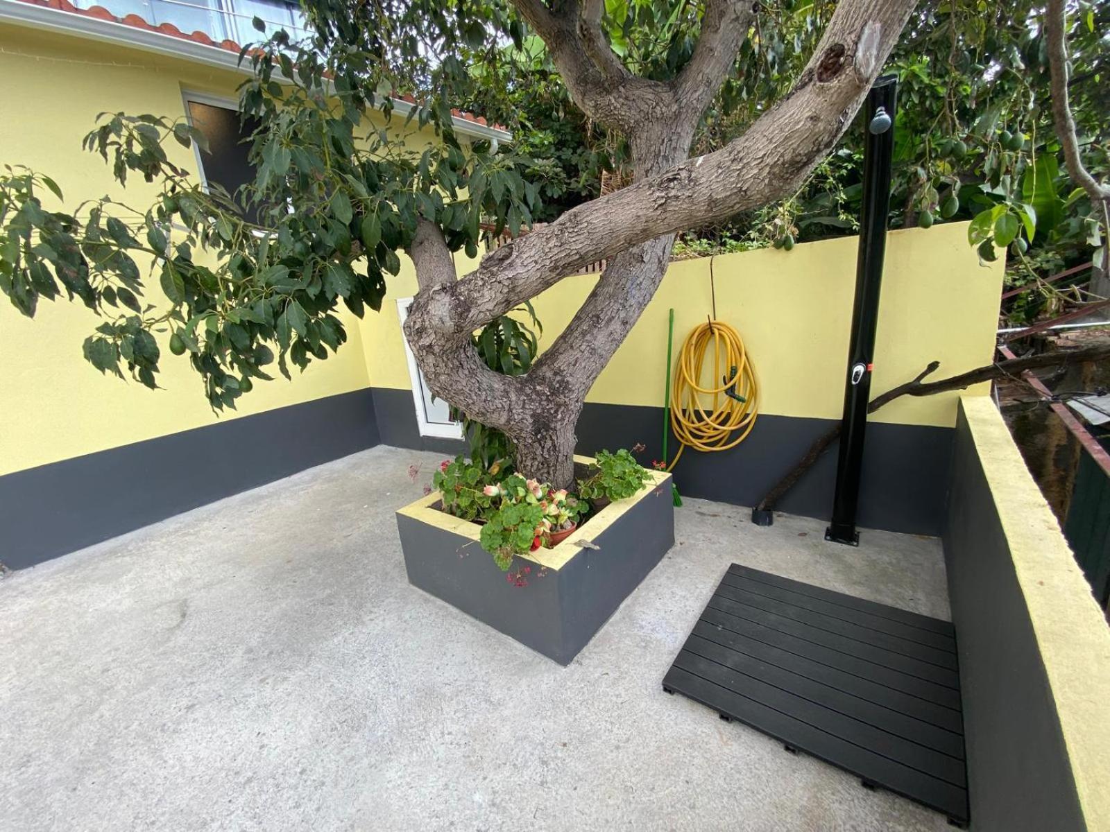 Quintinha Dos Reis Villa Фуншал Екстериор снимка
